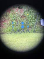 IMG_5889.jpeg IMG_5889.jpeg