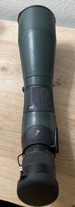 IMG_5025.jpeg