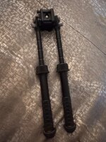 IMG_4244.jpeg