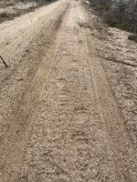 IMG_7550.jpeg