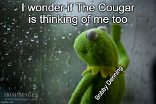 1748544806331.png