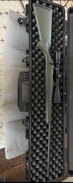 IMG_7395.jpeg
