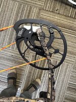 IMG_9167.jpeg