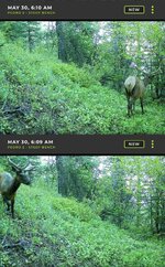 IMG_2646.jpeg