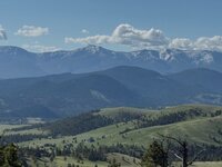 IMG_6022.jpeg