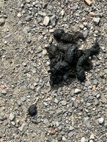 IMG_0391.jpeg