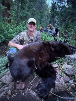 bear.jpg