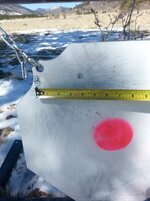 20130503_101603.JPG