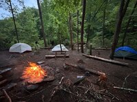 IMG_7547.jpeg