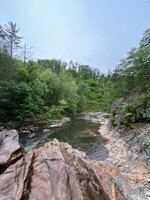 IMG_7531.jpeg