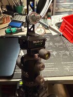 IMG_0256.jpeg