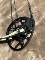IMG_3547.jpeg
