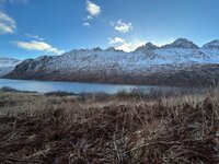 IMG_1092.jpeg