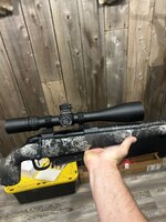 IMG_3337.jpeg