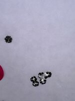 IMG_0334.jpeg
