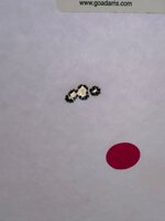 IMG_0330.jpeg