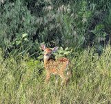 IMG_6865.jpeg