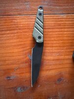 IMG_4313.jpeg