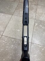 IMG_1412.jpeg