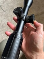 IMG_7384.jpeg