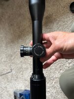 IMG_7386.jpeg