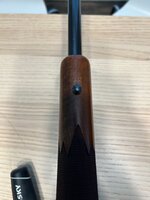 IMG_2451.jpeg IMG_2451.jpeg