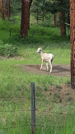 20190625_184911.jpg