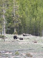 IMG_4835.jpeg