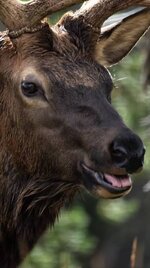 IMG_3211.jpeg