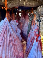 IMG_0931.jpeg