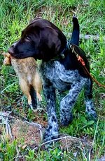 IMG_9233.jpeg