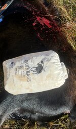 IMG_5907.jpeg