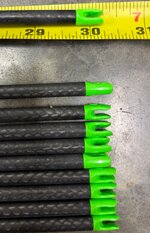IMG_2538.jpeg