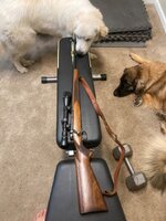 IMG_2425.jpeg