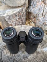 PXL_20250603_005347173.jpg PXL_20250603_005347173.jpg
