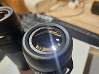 20250601_171350.jpg