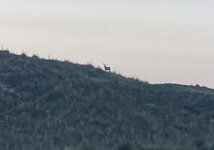 IMG_2357.jpeg