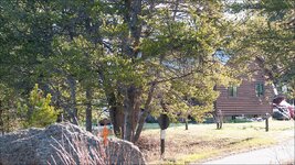 DSC04287a.jpg