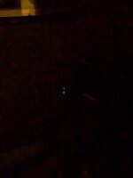 PXL_20250603_042916290.NIGHT.jpg