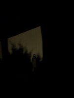 PXL_20250603_043057132.jpg