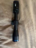 IMG_9273.jpeg