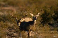 08-IMG_444420.JPG