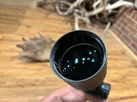 IMG_8310.jpeg