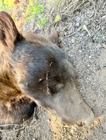 IMG_4934.jpeg