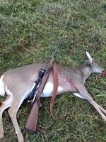 IMG_0031.jpeg