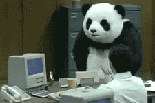 tumblr_e8850b0860464eba3459bb87c2c065fa_b4fe44b1_400.gif
