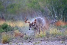 04-IMG_34871.jpg