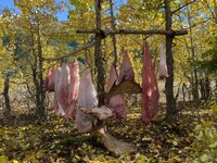 IMG_1313.jpeg