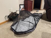 IMG_8144.jpeg