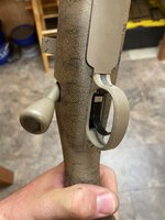 IMG_3799.jpeg